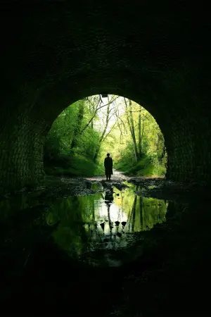 Постер к фильму "Род мужской" #297827