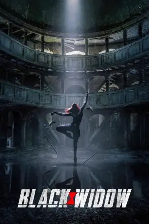 Постер к фильму "Чёрная вдова" #570048