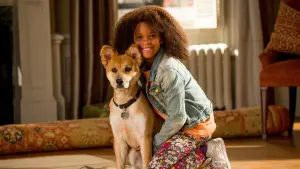 Задник к фильму "Энни" #444641