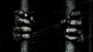 Задник к фильму "Ведьма из Блэр: Новая глава" #329252