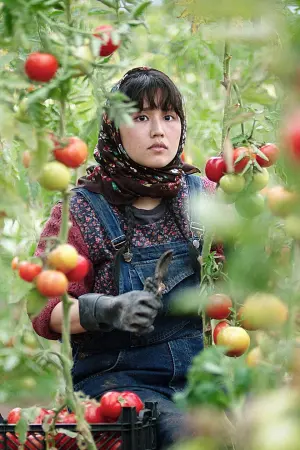 Постер к фильму "در سرزمین برادر" #197961