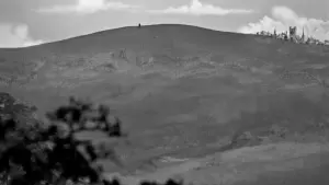 Задник к фильму "Большой парад" #455408