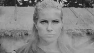 Задник к фильму "Седьмая печать" #176153