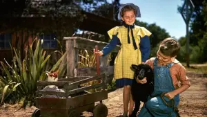 Задник к фильму "Так дорого моему сердцу" #381086