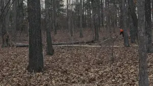 Задник к фильму "Пленницы" #639611