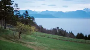 Задник к фильму "Осенняя соната" #645076