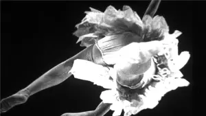 Задник к фильму "Антракт" #497677