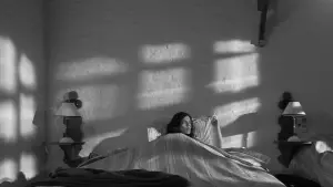 Задник к фильму "Тетро" #724090