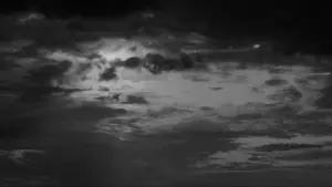 Задник к фильму "Бойцовая рыбка" #720953