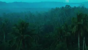 Задник к фильму "Дикие дни" #224122