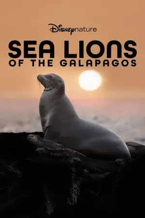 Постер к фильму "Sea Lions of the Galapagos" #719375
