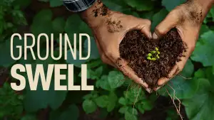 Задник к фильму "Groundswell" #910690