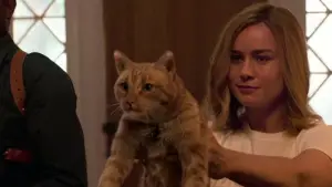 Задник к фильму "Капитан Марвел" #573673