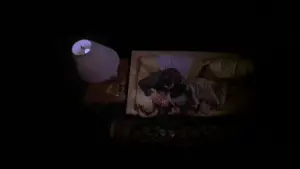 Задник к фильму "Загадочная кожа" #637808