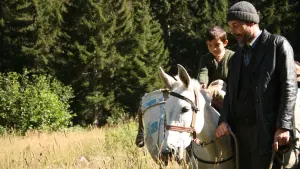 Задник к фильму "Мёд" #489957