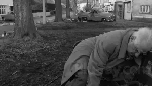 Задник к фильму "Деревня проклятых" #234126