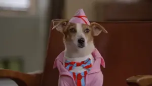 Задник к фильму "Санта Лапус 2: Санта лапушки" #355529