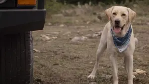 Задник к фильму "Ловушка времени" #297452