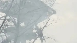 Задник к фильму "Война миров" #608532