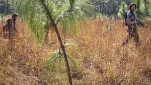 Задник к фильму "" #304597