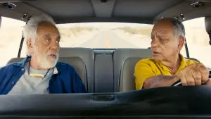 Задник к фильму "Cheech & Chong