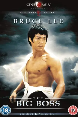 Постер к фильму "Большой босс" #91140