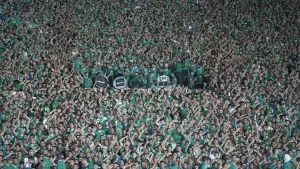 Видео к фильму Ultras | Trailer | Ultras | Ragnhild Ekner