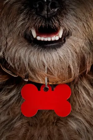 Постер к фильму "Отвязные дворняги" #212172