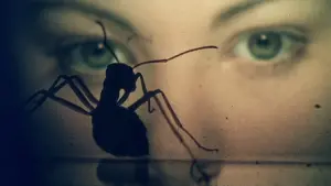 Задник к фильму "Фаза 4" #383340