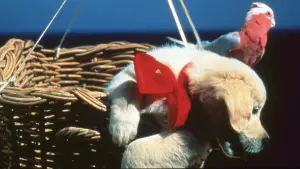 Задник к фильму "" #646959