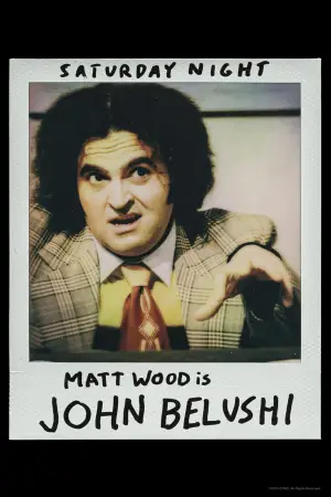 Постер к фильму "Шоу субботним вечером" #635291