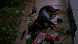 Задник к фильму "Выходной день Ферриса Бьюллера" #674756