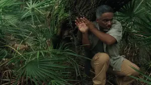 Задник к фильму "Мегаудав" #164390