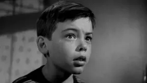 Задник к фильму "Окно" #502128