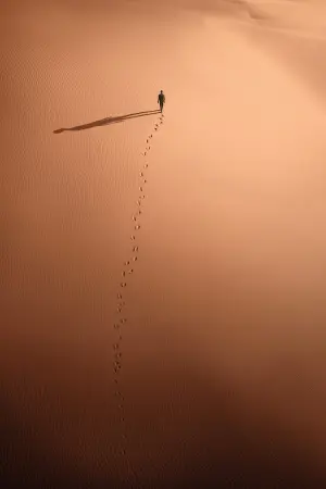 Постер к фильму "" #487013