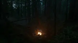 Задник к фильму "Выживший" #516965