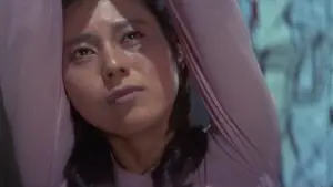 Задник к фильму "堕靡泥の星 美少女狩り" #857164