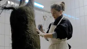 Задник к фильму "Тихий лес" #373123