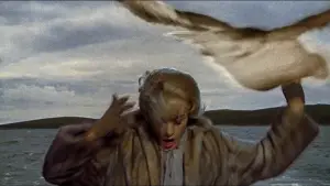 Задник к фильму "Птицы" #677207