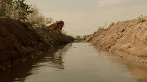 Задник к фильму "Эрин Брокович" #663528