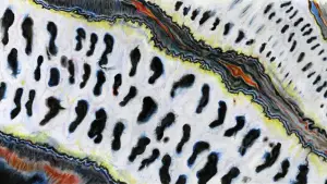 Задник к фильму "" #636160