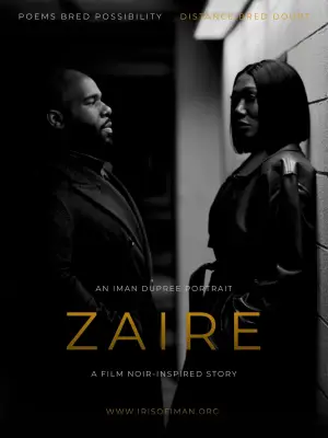 Постер к фильму "ZAIRE" #774721