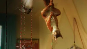 Задник к фильму "Флора и Улисс" #414604