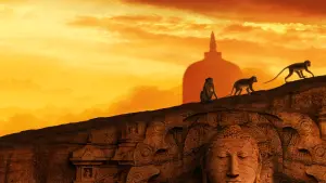 Задник к фильму "Королевство обезьян" #437486