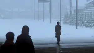 Задник к фильму "Любовное письмо" #838578