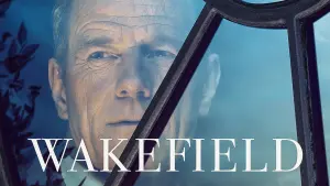 Задник к фильму "Во всем виноват енот" #302093