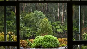 Задник к фильму "Город тайн: Исчезнувшая" #430479