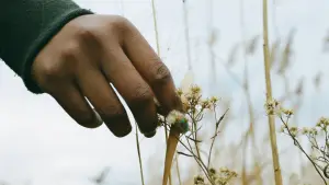 Задник к фильму "" #672583