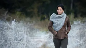 Задник к фильму "Голодные игры: И вспыхнет пламя" #169831