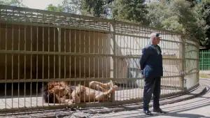 Задник к фильму "" #539099